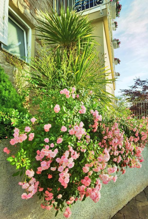 Guesthouse Olei Malinska Exterior photo